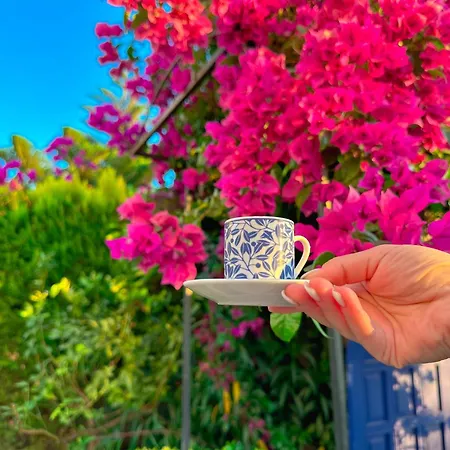 Evalacati - Harnup- Tamamen Muestakil Villa *