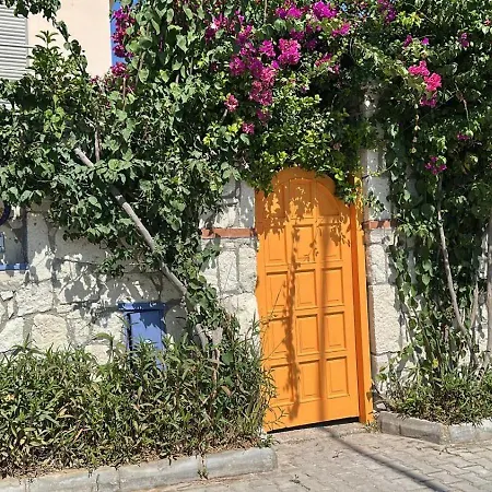 Evalacati - Harnup- Tamamen Muestakil アラカティ