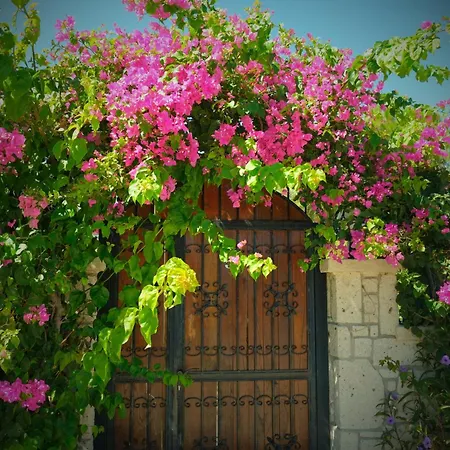 Villa Evalacati - Harnup- Detached House With Private Pool And Garden