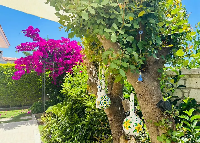 Evalacati - Harnup- Preferred Partner *