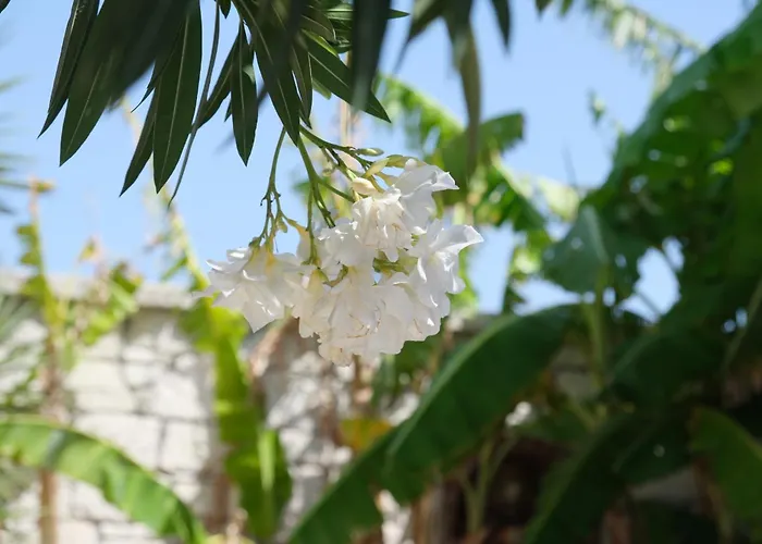 Villa Evalacati - Villa Harnup- Tamamen Müstakil Villa *