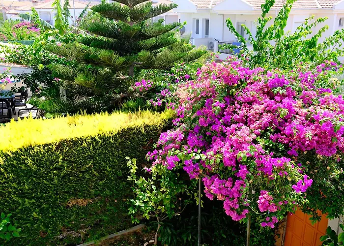 Evalacati - Villa Harnup- Preferred Partner Villa