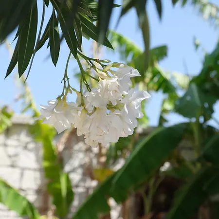别墅 Evalacati - Villa Harnup- Summer Breeze With Private Pool And Garden *