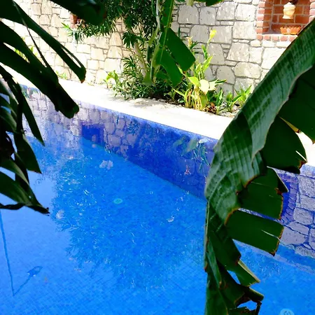 Evalacati - Villa Harnup- Summer Breeze With Private Pool And Garden *