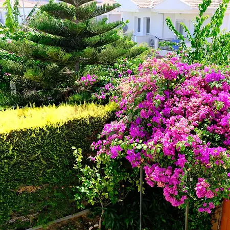 Evalacati - Villa Harnup- Summer Breeze With Private Pool And Garden 别墅