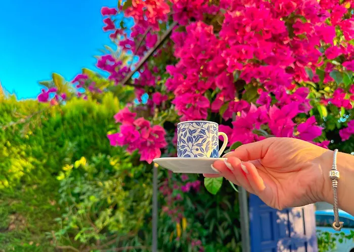 Evalacati - Villa Harnup- Preferred Partner Villa *